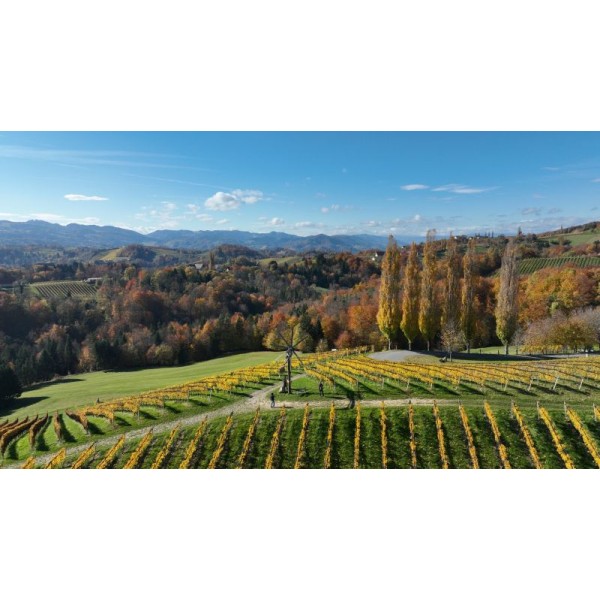 333 Jahre Weingeschichte - ein Logenplatz in der S&uuml;dsteiermark